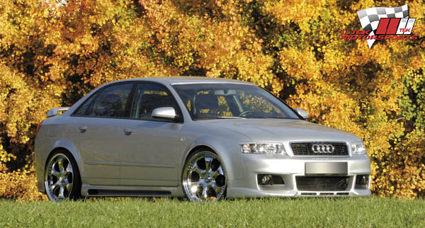 Audi S4 B6: 10 фото