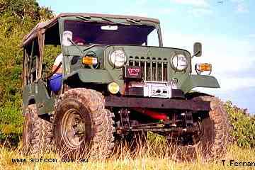 Mitsubishi Jeep: 6 фото